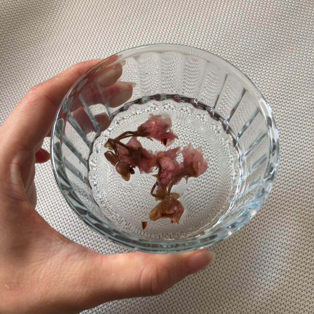 桜の塩漬けを水に浸している写真